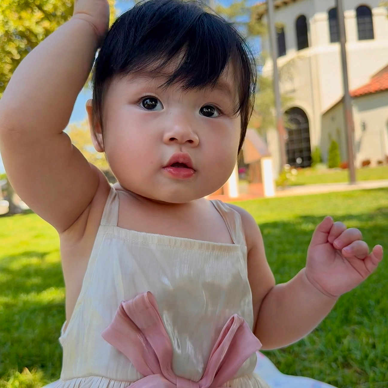 Cathlina joined the competition — help win amazing prizes! baby, child, dress, pink_bow, outdoor, grass, sunny, park, blanket, curious, raising_hand, face, person, young_child, daylight, smiling, cute, portrait, nature, building