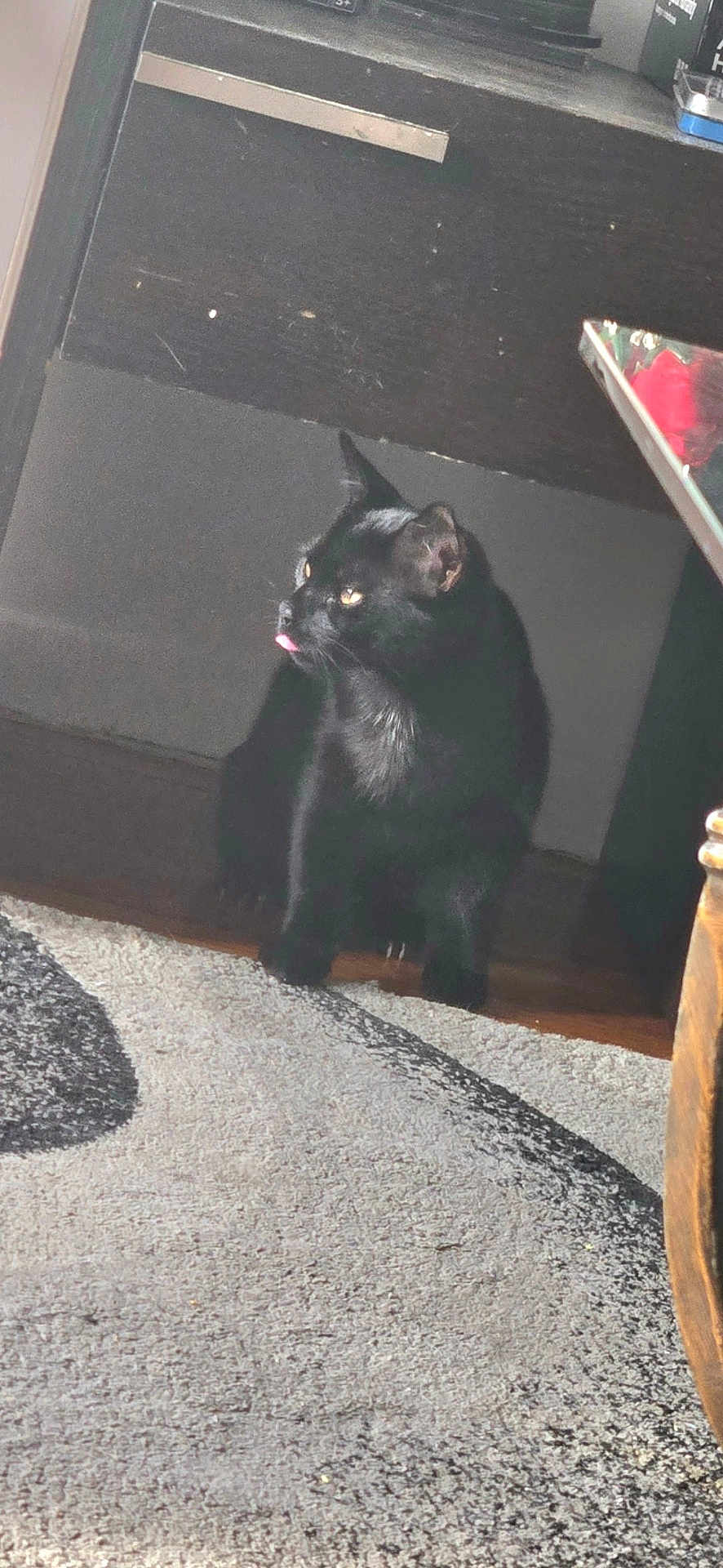 Kiki