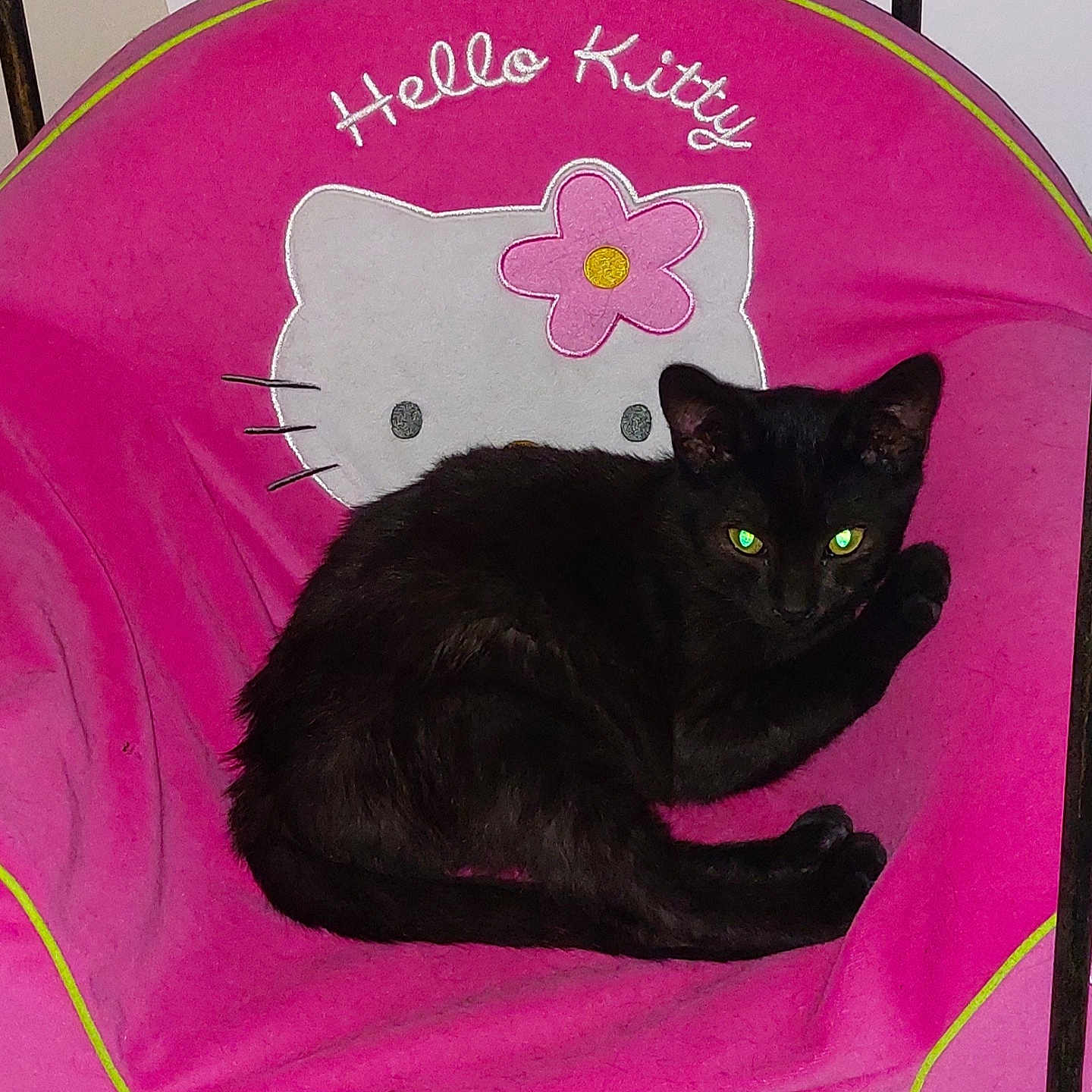 Bisou