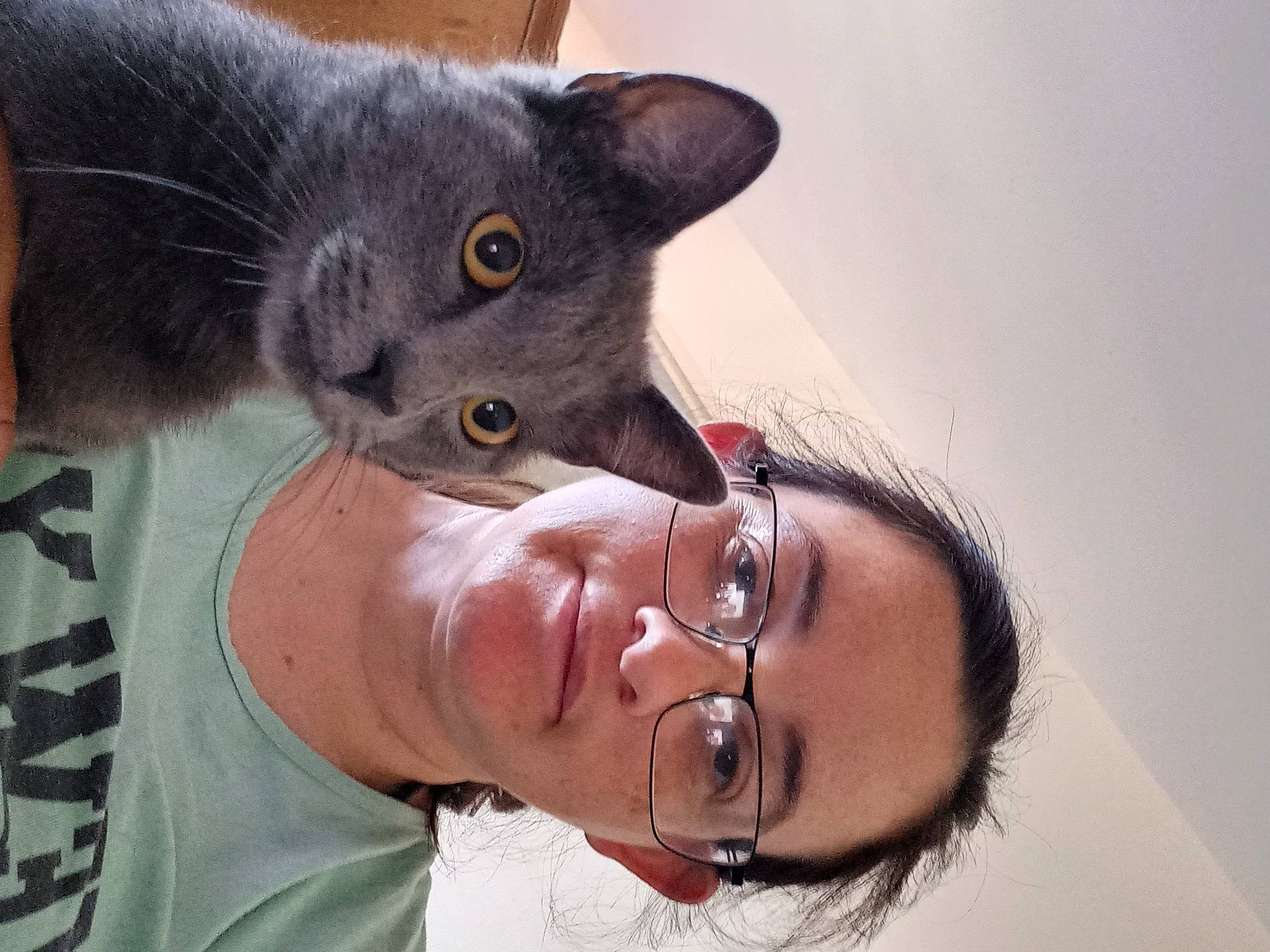 Perle a rejoint le concours — aidez-le/la à gagner de superbes lots ! black_cat, carnivore, cat, domestic_short_haired_cat, ear, eyewear, felidae, fur, gesture, glasses, happy, iris, russian_blue, skin, small_to_medium_sized_cats, snout, vision_care, whiskers