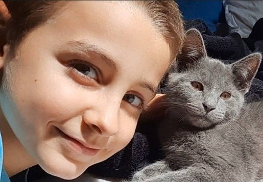 Perle a rejoint le concours — aidez-le/la à gagner de superbes lots ! carnivore, cat, cheek, child, comfort, domestic_short_haired_cat, ear, eyelash, felidae, fur, gesture, happy, nose, paw, russian_blue, small_to_medium_sized_cats, smile, snout, toddler, whiskers