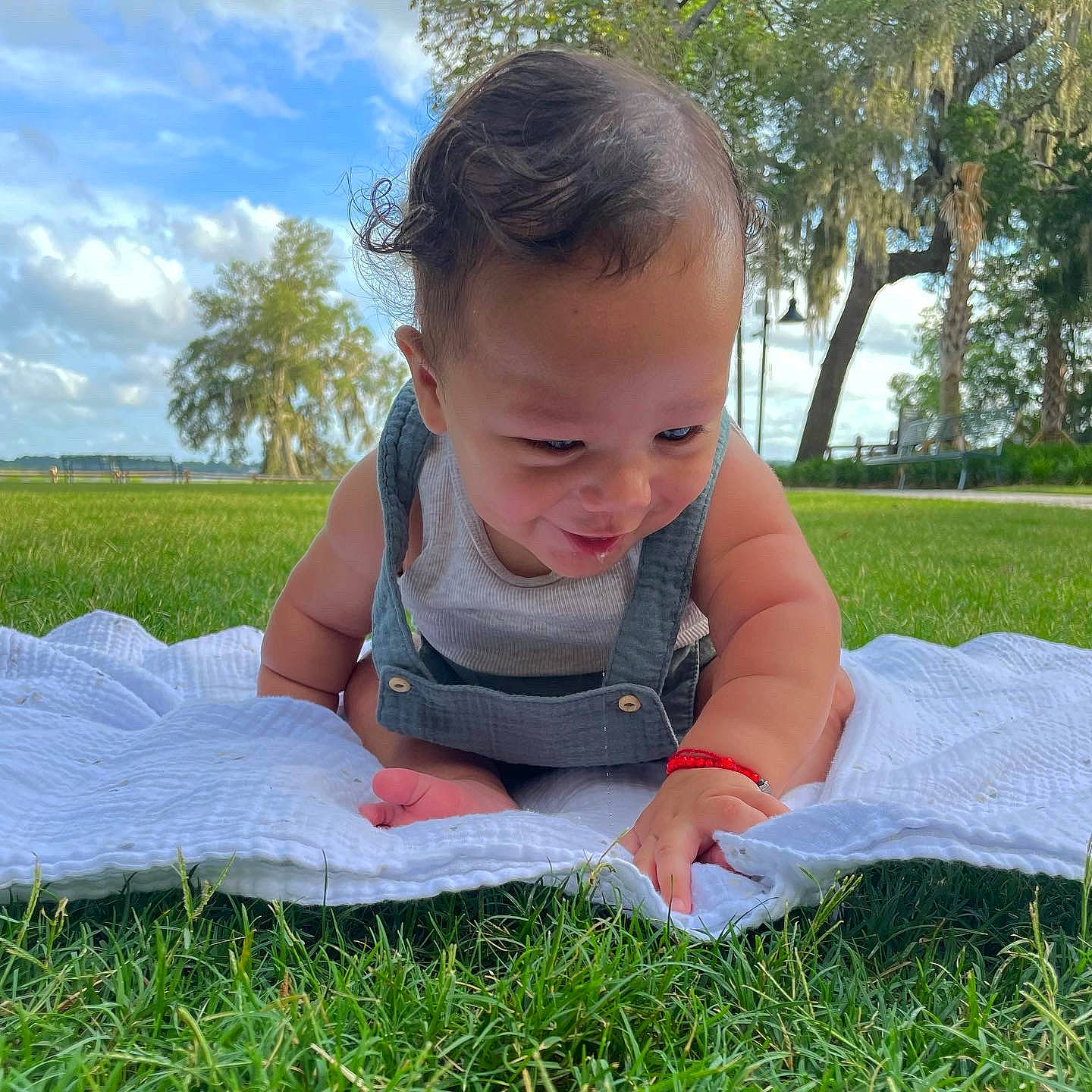 Eddie joined the competition — help win amazing prizes! baby, baby_toddler_clothing, cloud, crawling, eye, fun, grass, grass_family, happy, lawn, leaf, leisure, meadow, people_in_nature, person, plant, sky, smile, sunlight, toddler