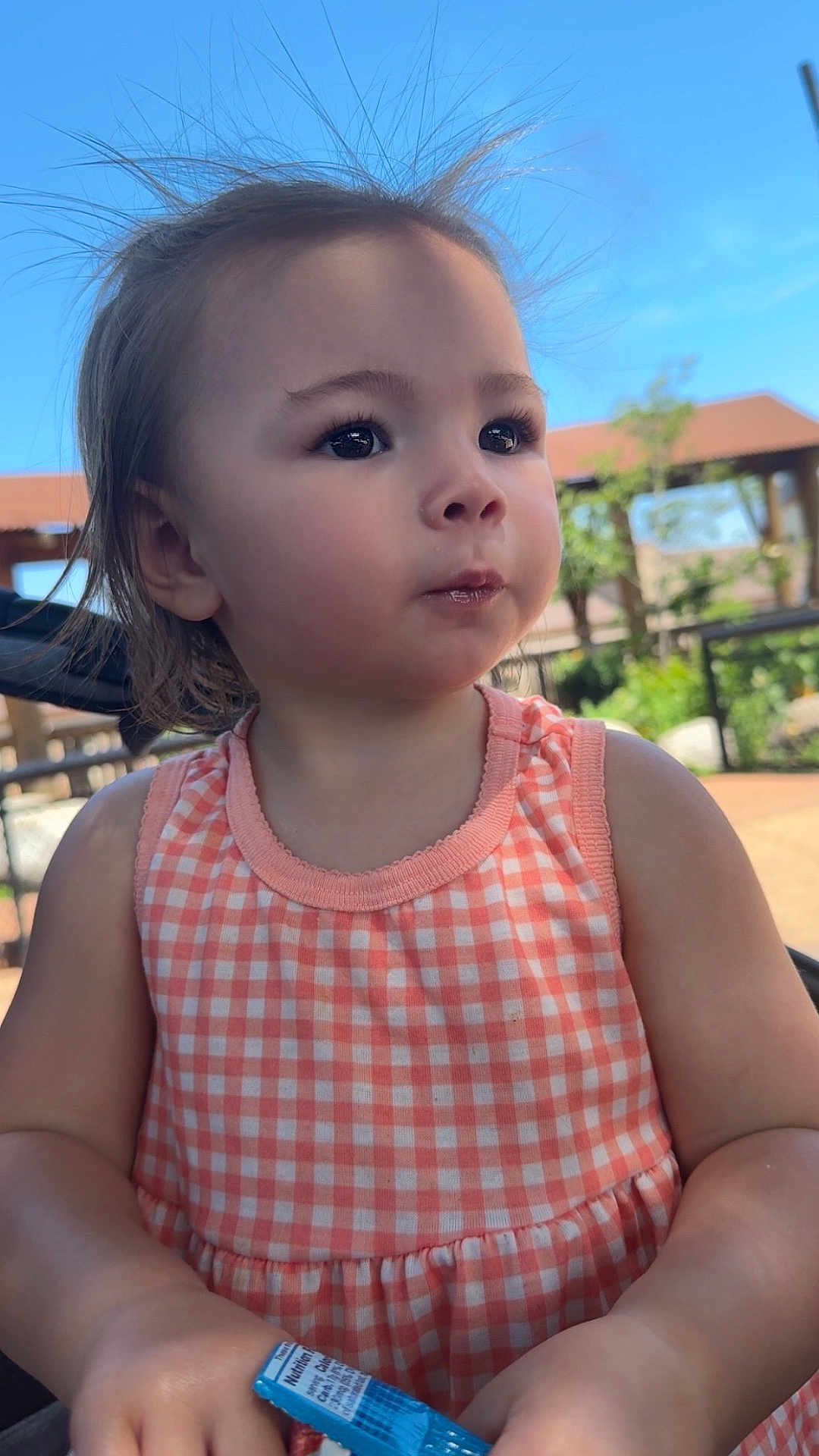 Kyla joined the competition — help win amazing prizes! toddler, child, outdoor, sunlight, dress, peach, checkered, hair, face, expression, snack, hand, curious, young_child, portrait, person, nature, blue_sky, daytime, casual