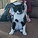 Moo Moo