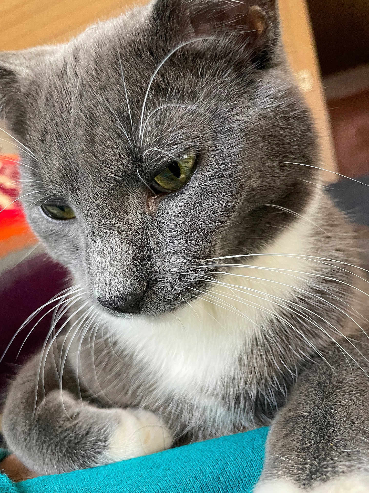 Smokey