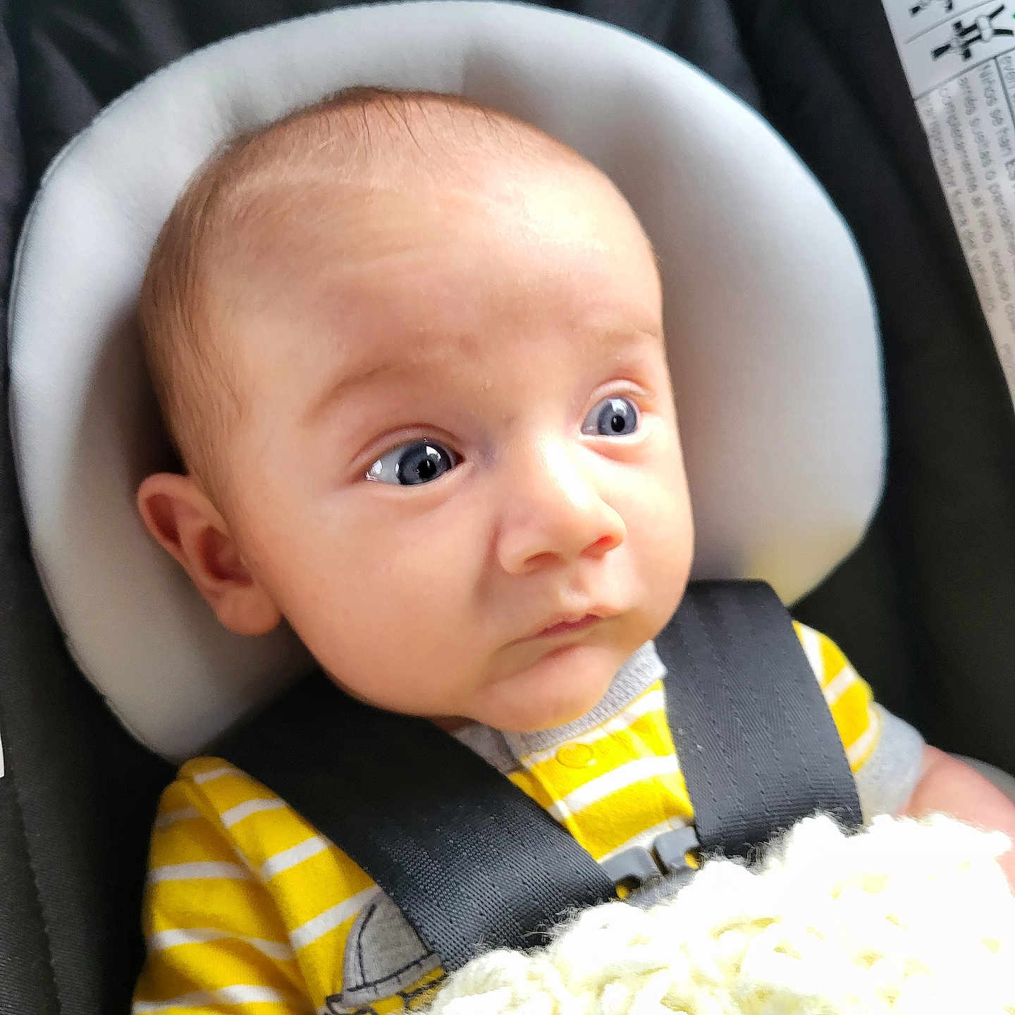 Sonny is registered to the contest to win money with this photo: accessories, baby, belt, bodypart, bonnet, car, car_interior, carseat, clothing, cushion, face, hat, head, homedecor, newborn, person, photography, portrait, transportation, vehicle