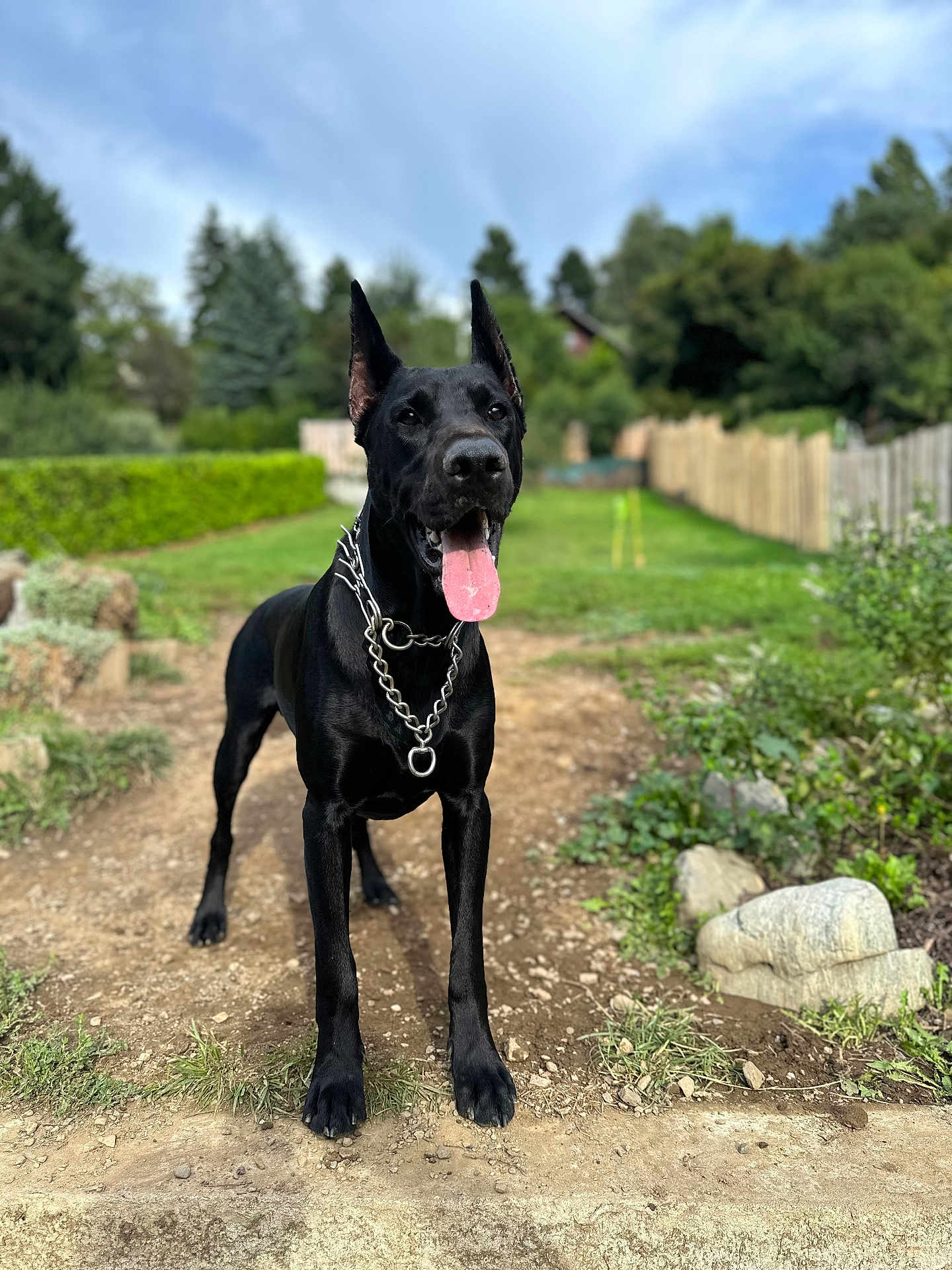 Ares