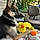 Goose