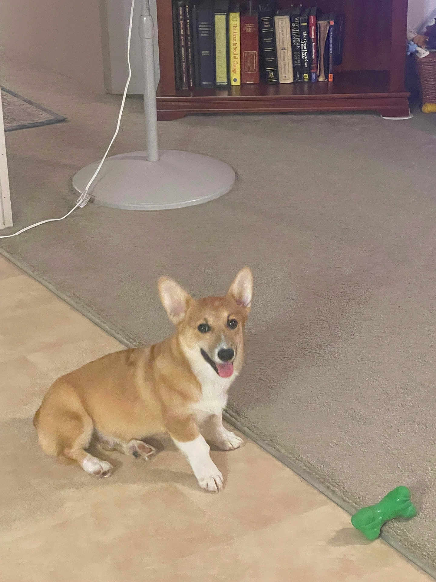 Mr. Fergus