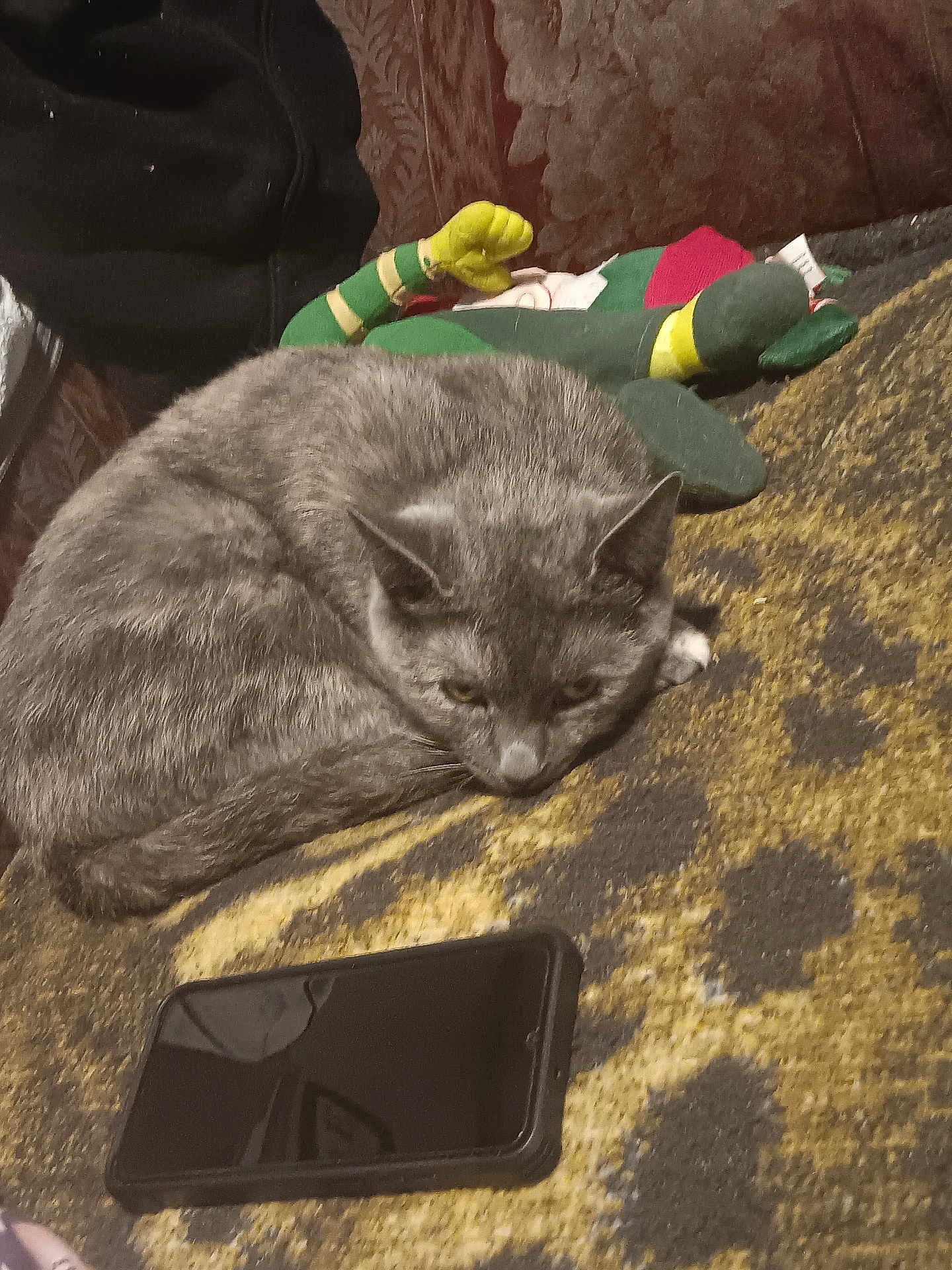 Luna