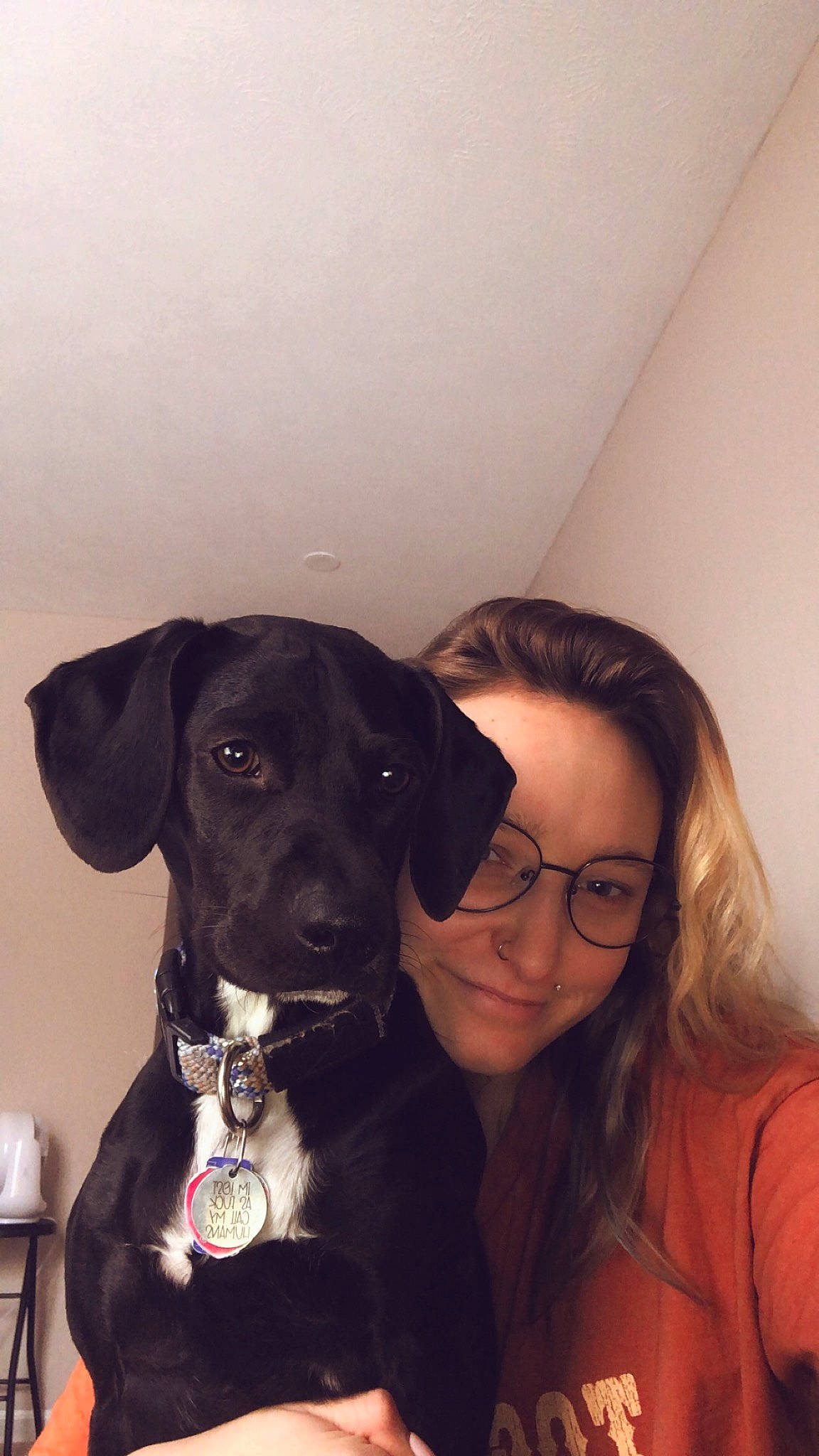 Belle is registered to the contest to win money with this photo: borador, canidae, carnivore, companion_dog, dog, dog_breed, dog_collar, ear, fawn, fur, gesture, guard_dog, hat, personal_protective_equipment, selfie, sitting, snout, sporting_group, whiskers, working_animal