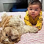 baby, child, dog, pet, bed, blanket, yellow_clothing, fur, cute, togetherness, indoor, comfort, playful, animal, portrait, friendship, paws, striped, relaxation, young