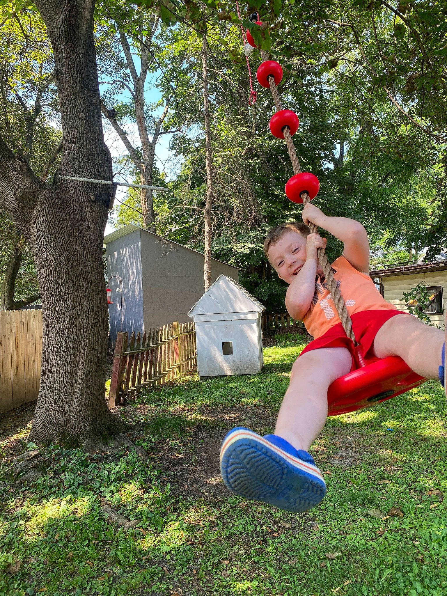 Deegan joined the competition — help win amazing prizes! automotive_wheel_system, eyewear, fun, garden, grass, happy, human_leg, joy, knee, lawn, lawn_ornament, leisure, people_in_nature, person, plant, recreation, shorts, sitting, smile, thigh