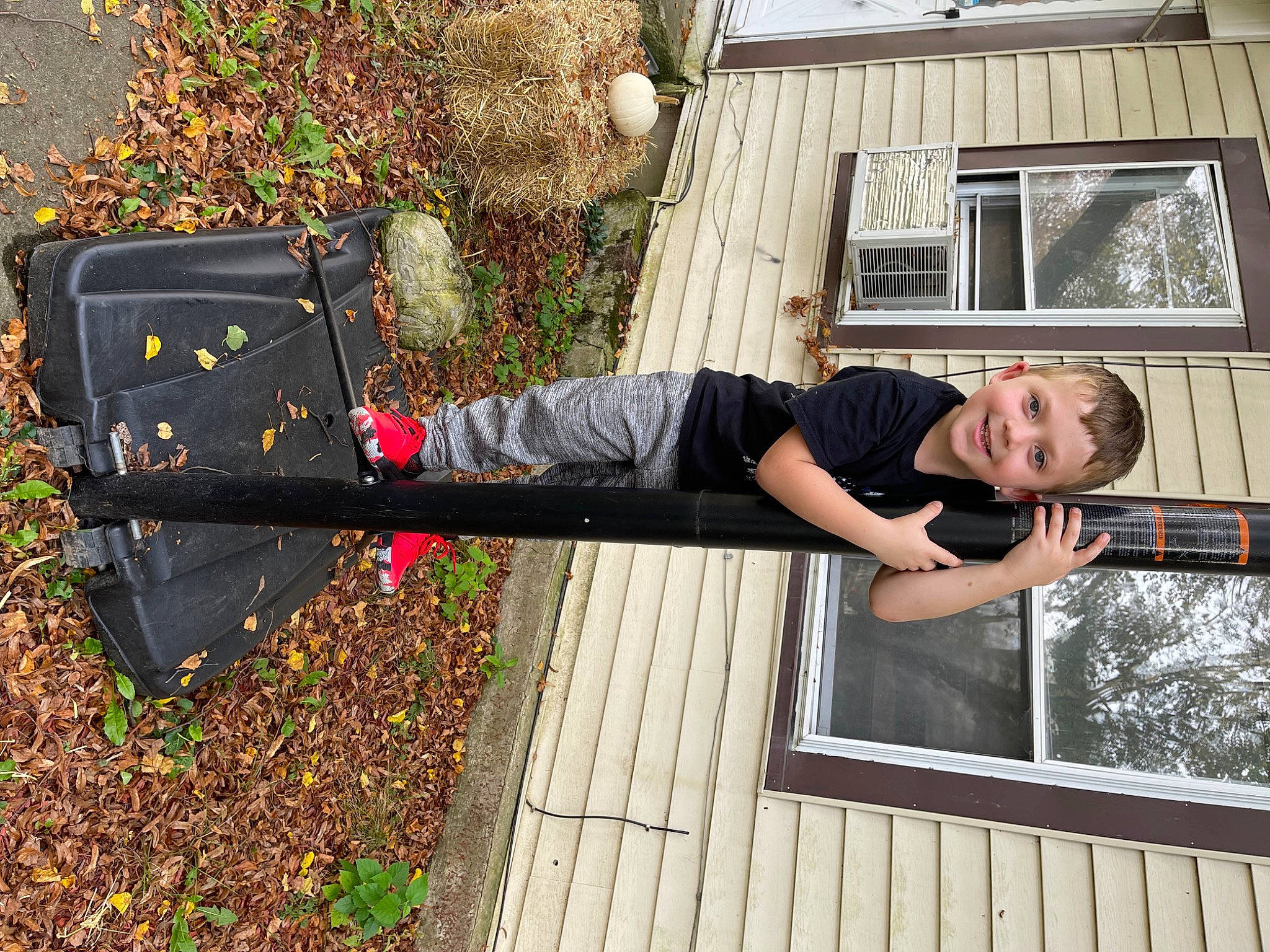 Deegan is registered to the contest to win money with this photo: child, design, fun, grass, happy, joy, leisure, people_in_nature, person, plant, smile, t_shirt, tree, window, wood