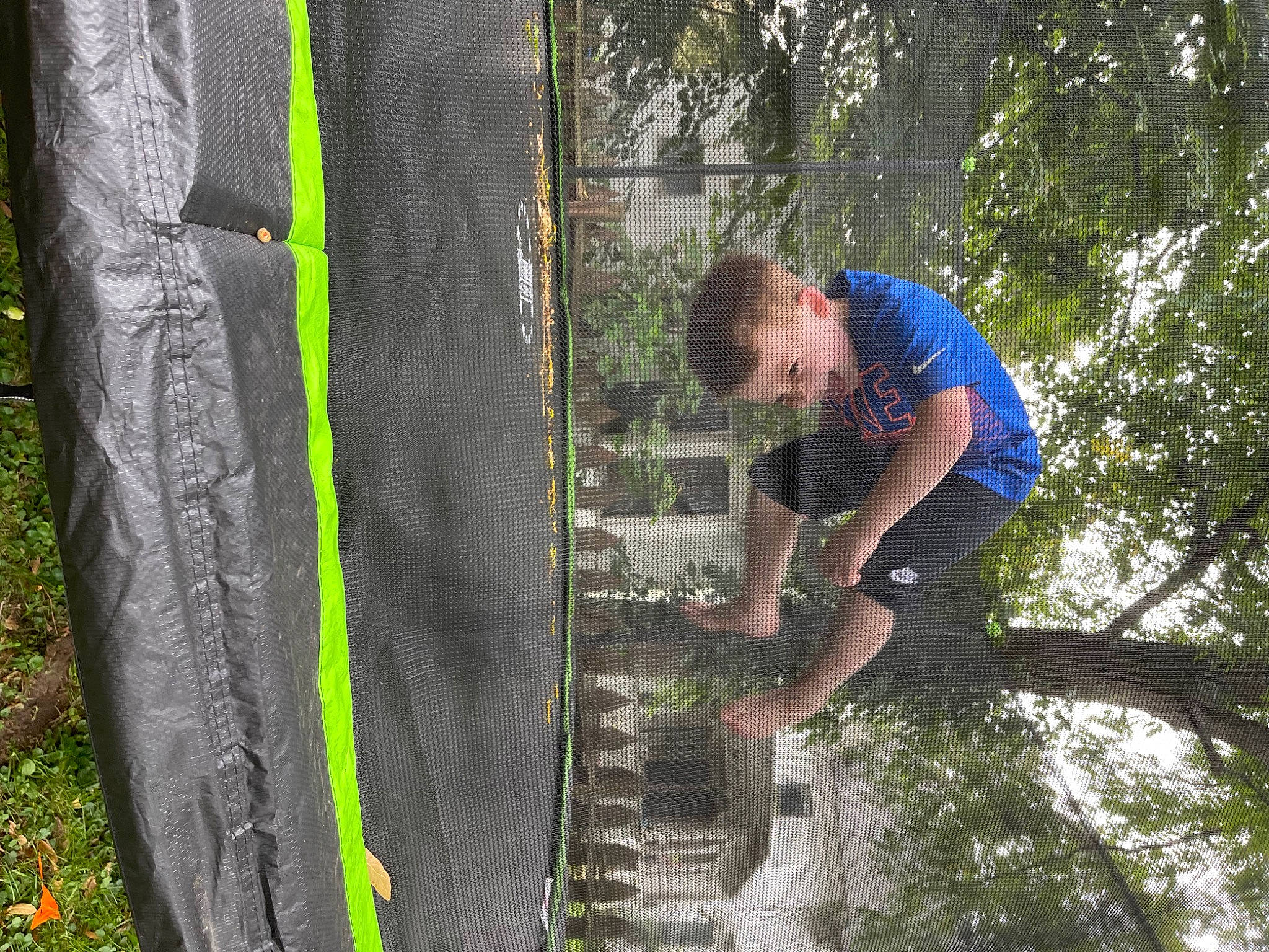 Deegan joined the competition — help win amazing prizes! automotive_tire, biome, branch, forest, fun, grass, green, leisure, natural_environment, nature, outdoor_recreation, people_in_nature, person, plant, shirt, shorts, t_shirt, terrestrial_plant, tree, trunk