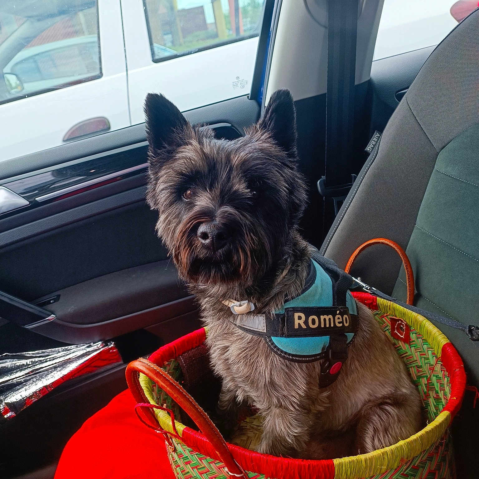 Roméo