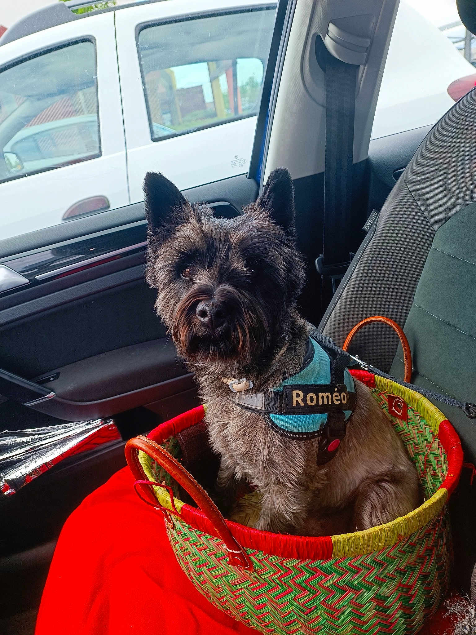 Roméo
