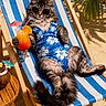 cat, beach_chair, sunglasses, swimsuit, drink, cocktail, umbrella, sand, wooden_table, tropical, relaxation, summer, vacation, animal, feline, outdoor, sunny, leisure, floral_pattern, holiday