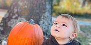 Xzavier is registered to the contest to win money with this photo: toddler, child, pumpkin, autumn, leaves, tree, outdoor, fall, nature, cozy, brown_clothing, cute, portrait, sunlight, lens_flare, seasonal, young_child, curious, warm, daylight