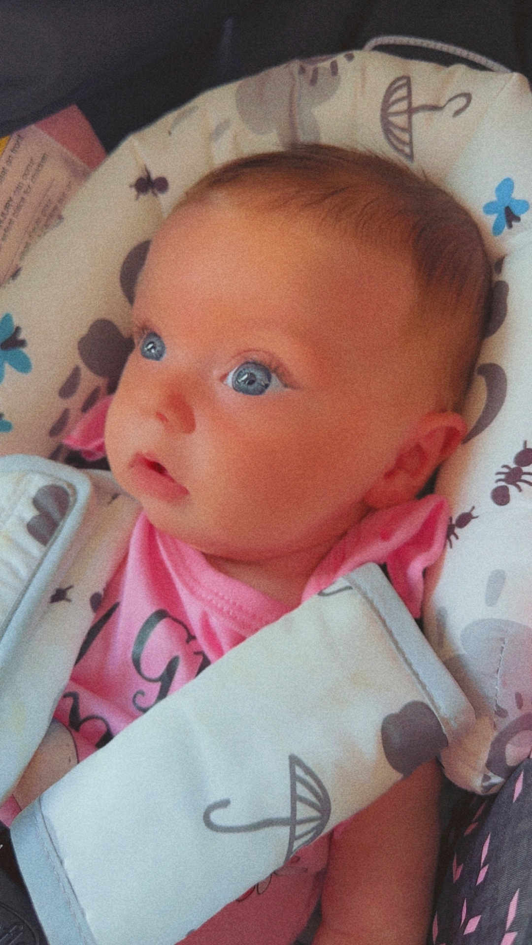 Arizona is registered to the contest to win money with this photo: baby, blue_eyes, infant, pink_clothing, baby_seat, patterned_fabric, face, head, child, cute, small_hands, soft_skin, indoors, portrait, seat_belt, expression, looking_away, close_up, adorable, young_child