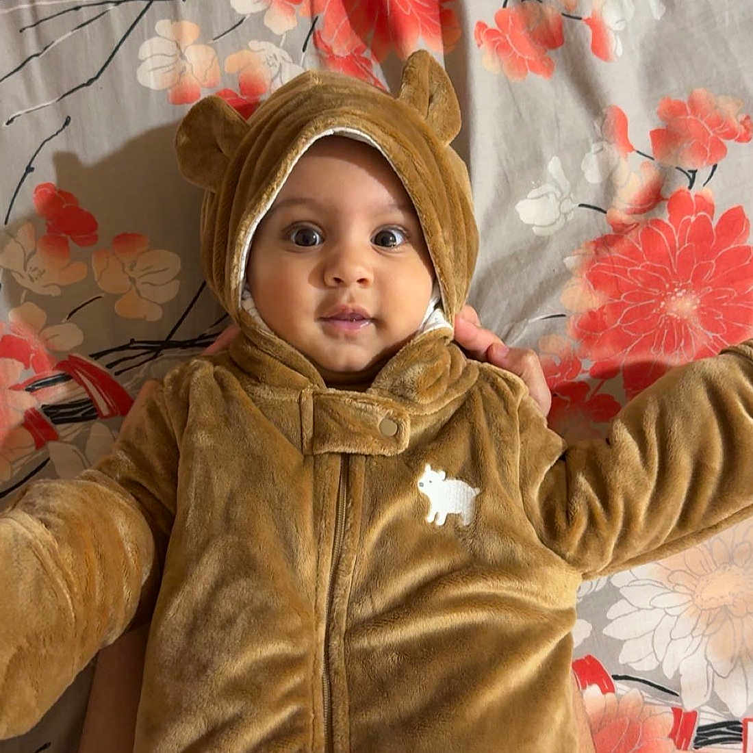 Dilawar Yazdaan joined the competition — help win amazing prizes! adorable, baby, baby_outfit, bear_costume, blanket, brown_clothing, child, cute, face, floral_pattern, hands, hood, indoor, infant, lying_down, person, portrait, smile, soft_texture, wide_eyes