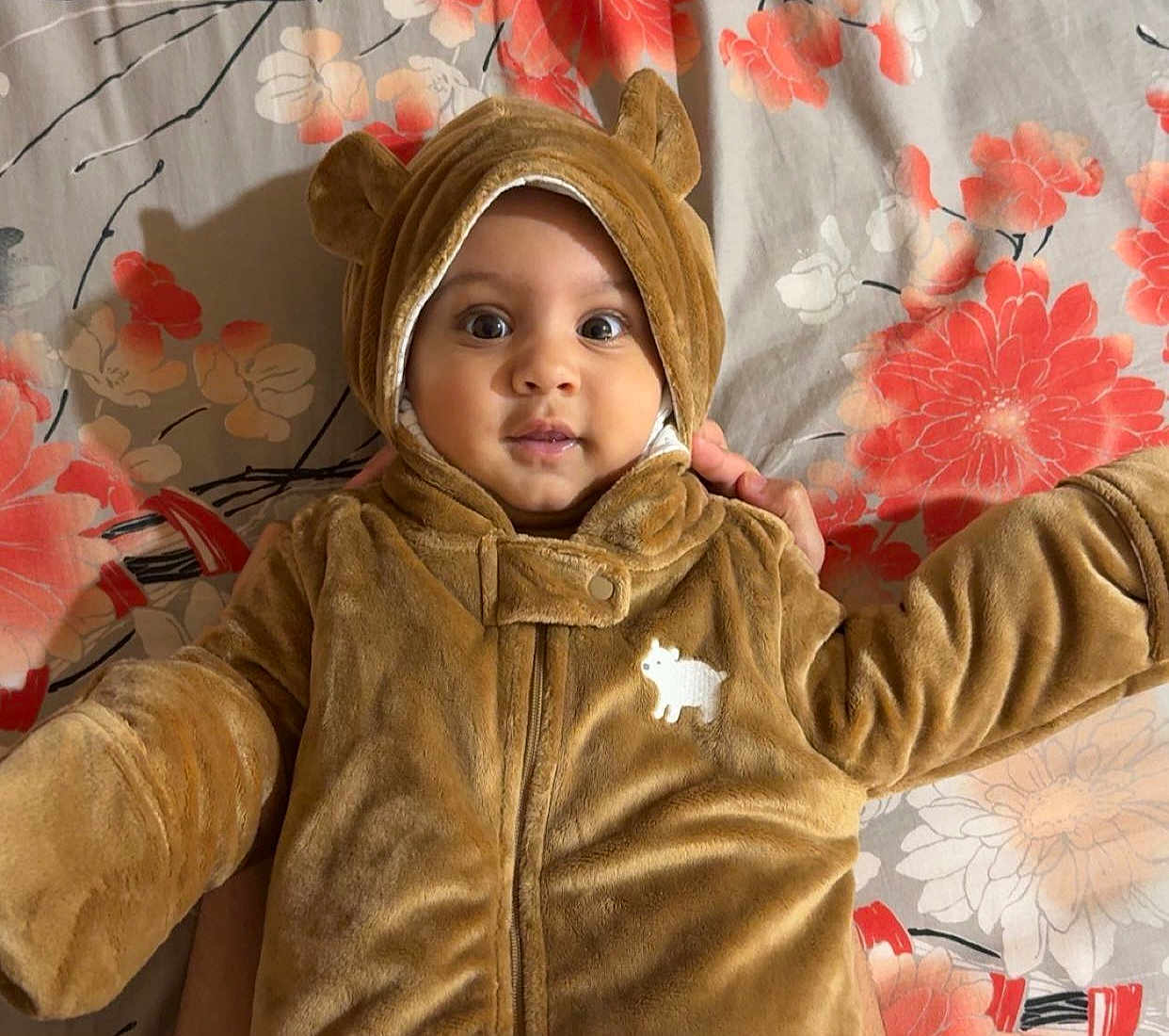 Dilawar Yazdaan joined the competition — help win amazing prizes! baby, child, infant, bear_costume, hood, cute, floral_pattern, blanket, hands, smile, wide_eyes, soft_texture, brown_clothing, portrait, indoor, face, person, baby_outfit, adorable, lying_down