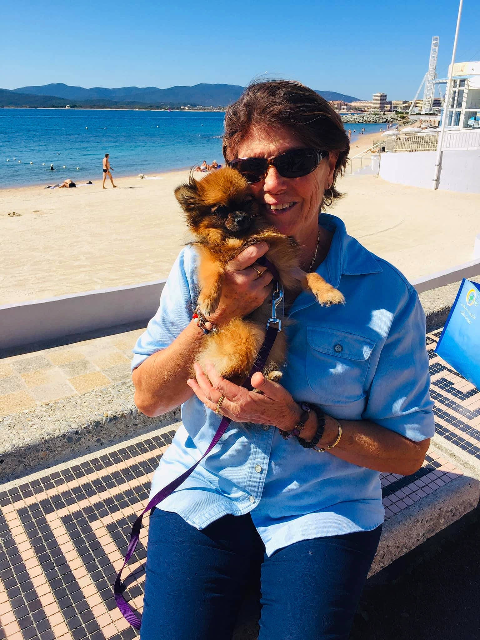 Princesse participe au concours pour gagner de l'argent avec cette photo : beach, border_terrier, canidae, carnivore, companion_dog, dog, dog_breed, fawn, pomeranian, sporting_group, summer, tourism, vacation
