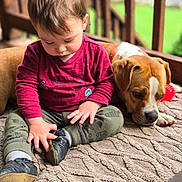 Kye joined the competition — help win amazing prizes! animal, boy, canine, child, clothing, dog, face, footwear, head, hound, jeans, male, pants, person, pet, photography, portrait, puppy, shoe, sitting