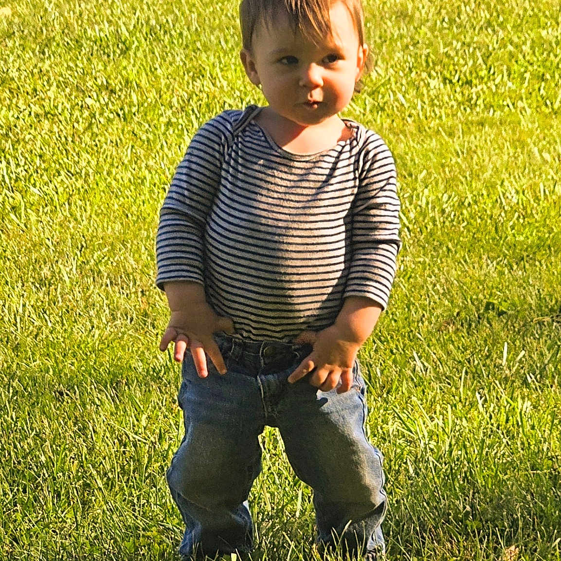 Kye joined the competition — help win amazing prizes! boy, child, clothing, face, field, grass, grassland, head, jeans, lawn, male, nature, outdoors, pants, park, person, photography, plant, portrait, standing