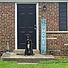 Loki joined the competition — help win amazing prizes! dog, black_dog, porch, front_door, brick_wall, grass, bushes, welcome_sign, house, steps, concrete, outdoor, pet, canine, collar, leash, window, shutters, lamp, daytime