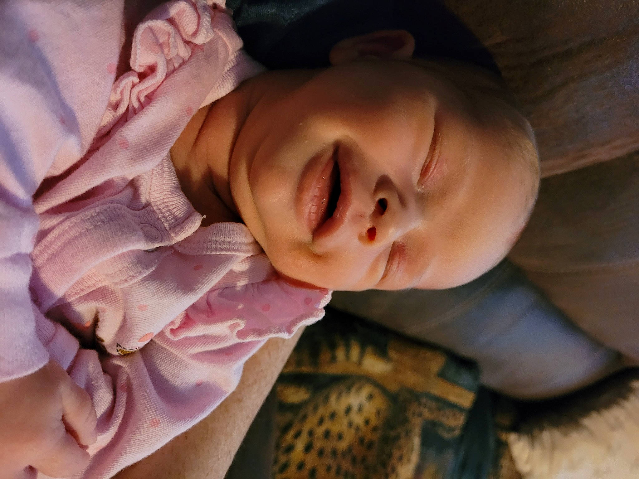 Haven is registered to the contest to win money with this photo: arm, comfort, eyelash, finger, gesture, hand, happy, human_body, iris, lip, mammal, mouth, neck, nose, person, plant, skin, smile, tree, vertebrate