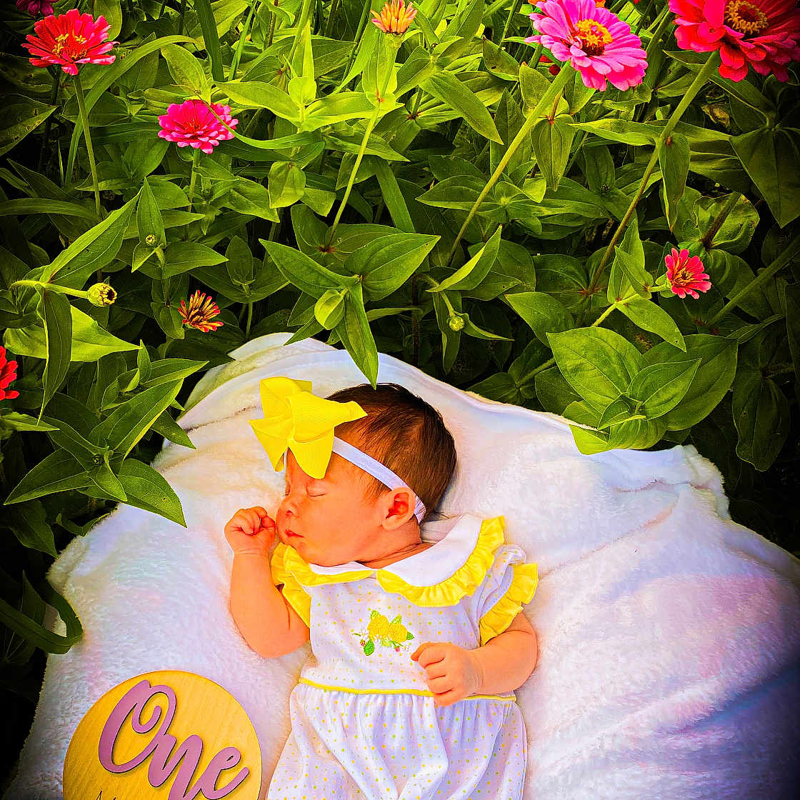 Julieanna is registered to the contest to win money with this photo: baby, blanket, bodypart, dahlia, daisy, face, finger, flower, flowerarrangement, flowerbouquet, geranium, hand, head, newborn, person, petal, photography, plant, portrait, rose