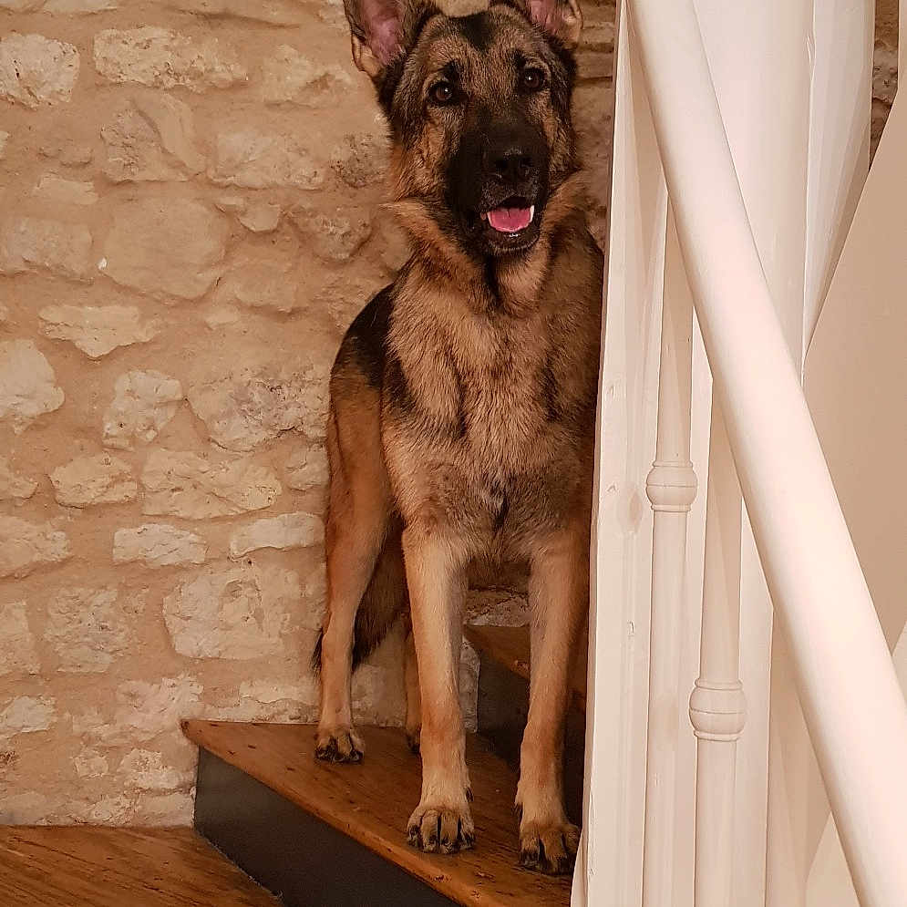 Milka
