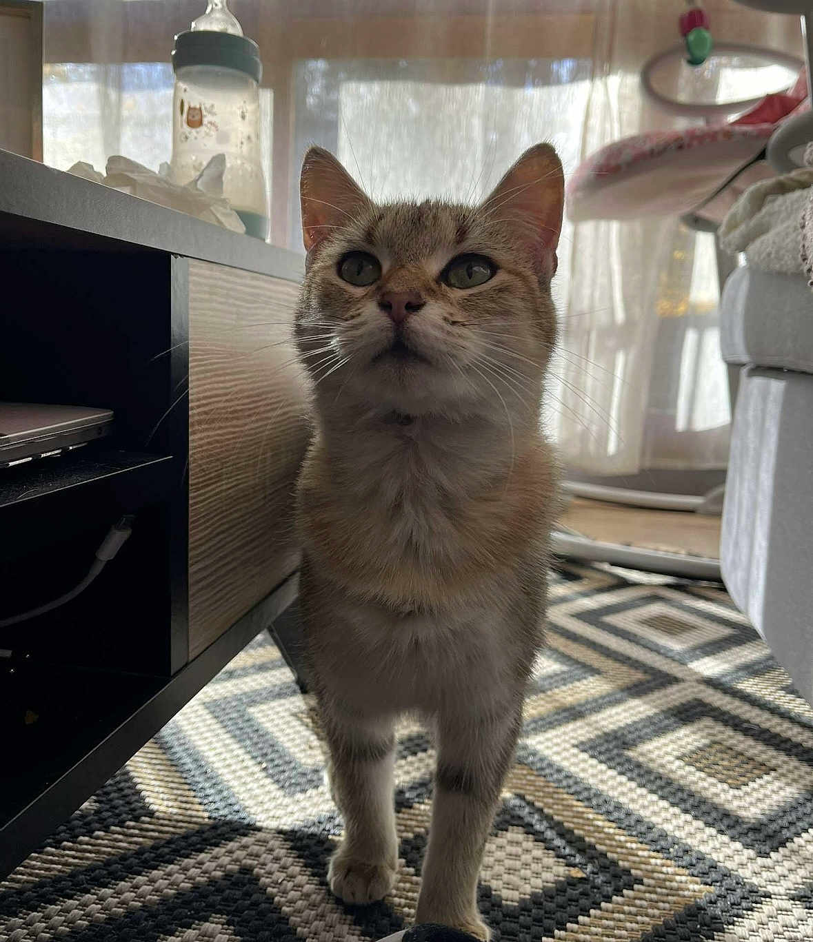 Tina