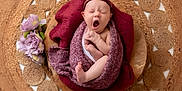 Nova is registered to the contest to win money with this photo: newborn, baby, yawning, wrapped, maroon, knit, headband, flower, wooden_plate, woven_mat, cozy, sleepy, infant, portrait, cute, soft, resting, pink, small, peaceful