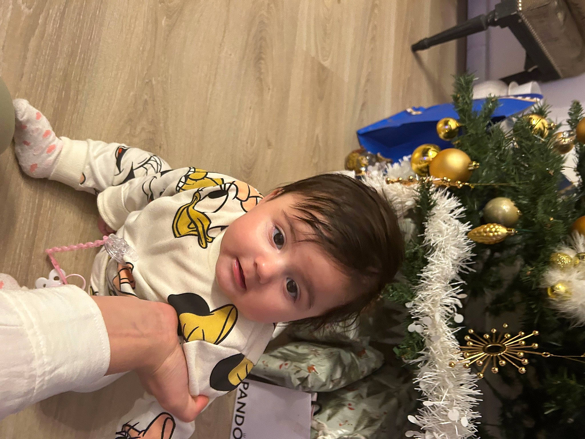 Nelly a rejoint le concours — aidez-le/la à gagner de superbes lots ! baby, child, christmas, christmas_decoration, christmas_eve, christmas_ornament, christmas_tree, conifer, event, fun, fur, happy, holiday, holiday_ornament, ornament, person, room, toddler, tradition, tree