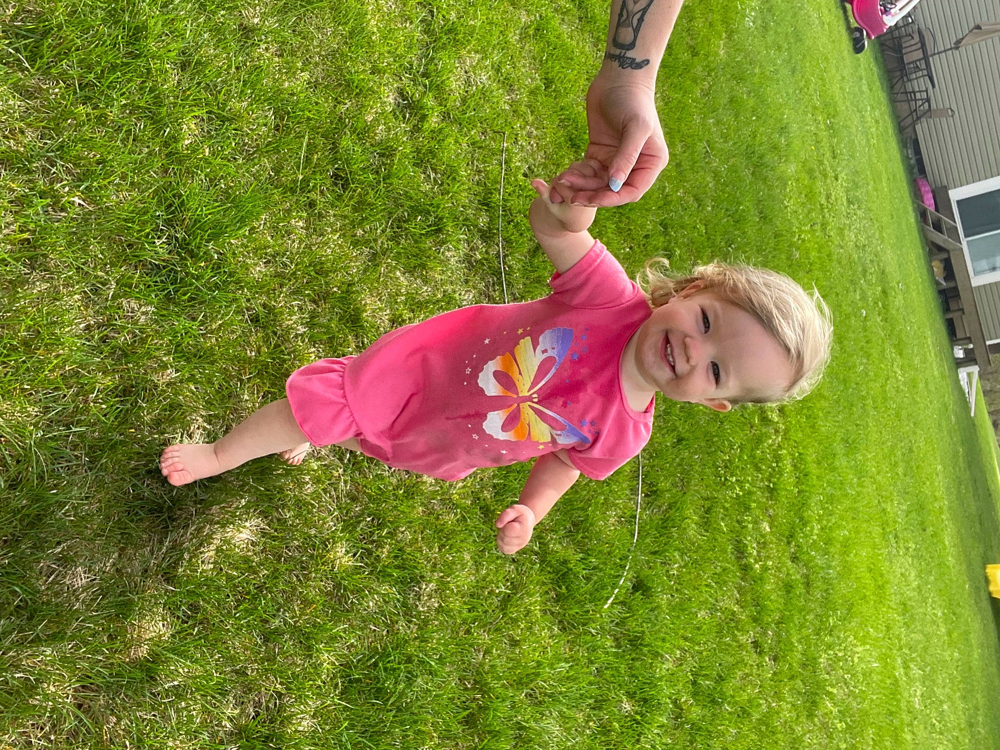 Alayna is registered to the contest to win money with this photo: child, fun, garden, grass, grass_family, grassland, green, groundcover, happy, joy, lawn, leisure, meadow, people_in_nature, person, plant, recreation, shrub, smile, toddler