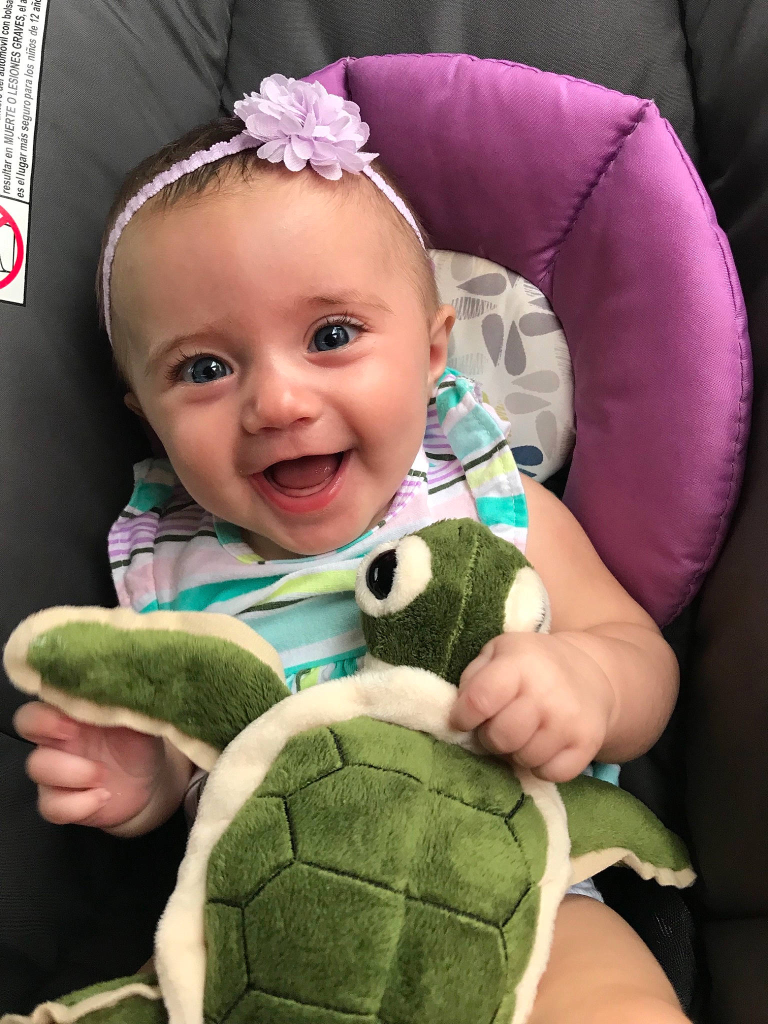Reagan joined the competition — help win amazing prizes! baby, car_seat, child, head, person, plush, reptile, stuffed_toy, toddler, tortoise, toy, turtle