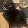 Salem