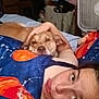 person, dog, bed, blanket, cuddle, face, indoor, fan, furniture, relaxation, comfort, sleepwear, expression, resting, home, casual, portrait, animal, companionship, cozy
