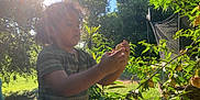 Rafael joined the competition — help win amazing prizes! child, outdoor, fruit, tree, sunlight, greenery, nature, plant, daylight, person, curious, summer, garden, bush, hands, exploring, leaves, sunflare, wood, netting