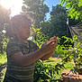 child, outdoor, fruit, tree, sunlight, greenery, nature, plant, daylight, person, curious, summer, garden, bush, hands, exploring, leaves, sunflare, wood, netting
