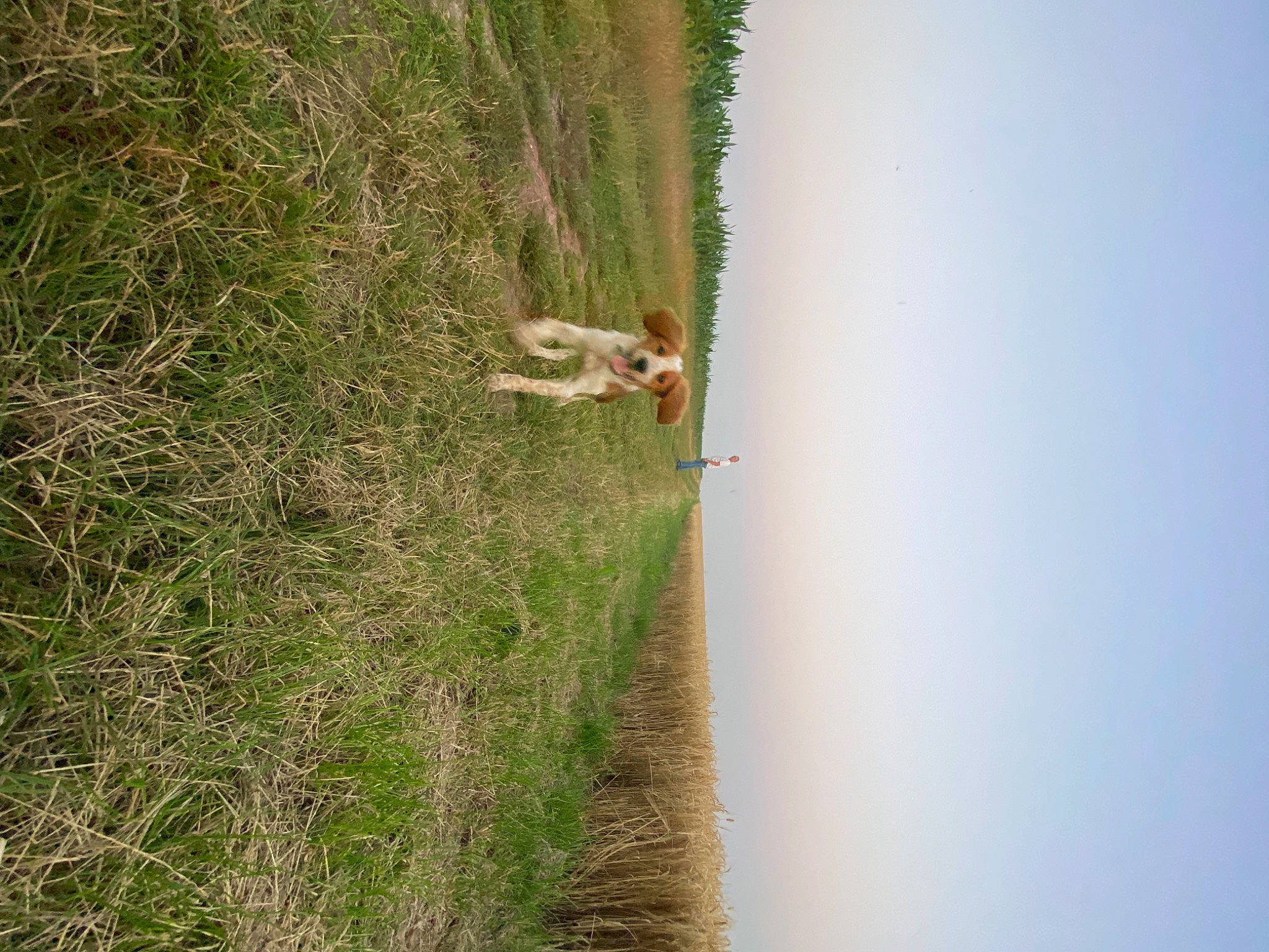 Spritz a rejoint le concours — aidez-le/la à gagner de superbes lots ! adventure, field, grass, grassland, landscape, pasture, plant, plant_stem, prairie, recreation, road, rock, shadow, sky, slope, soil, tree, trunk, water, wood