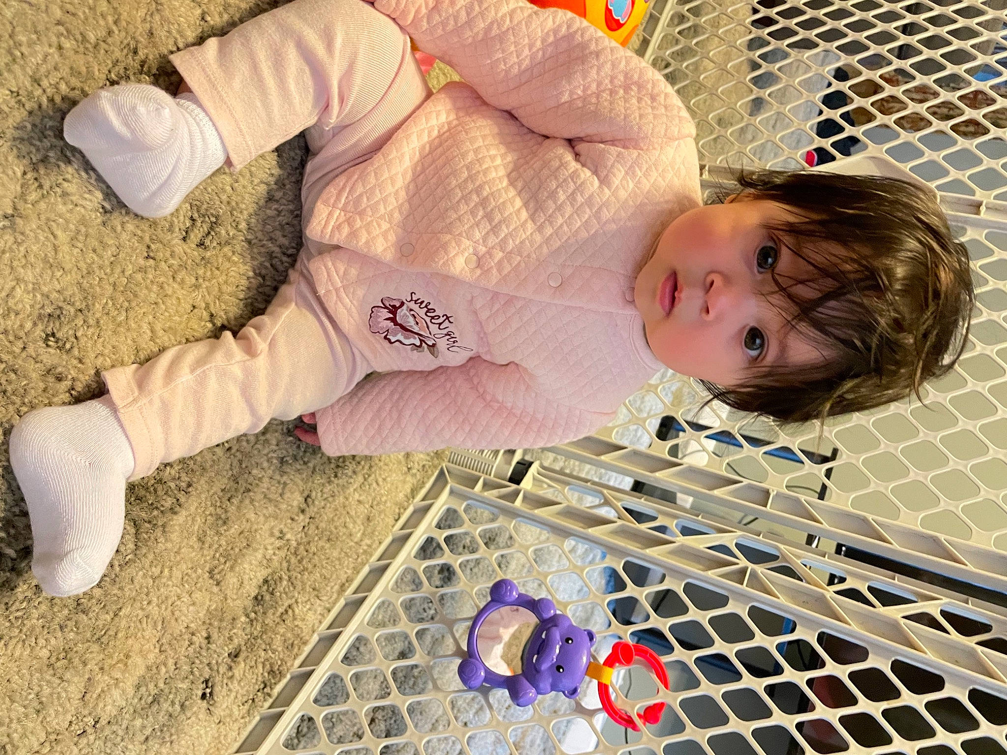 Azariah is registered to the contest to win money with this photo: baby, baby_products, baby_safety, baby_toddler_clothing, child, comfort, electric_blue, flooring, fun, grass, happy, head, mammal, mesh, net, nose, pattern, person, toddler, vertebrate