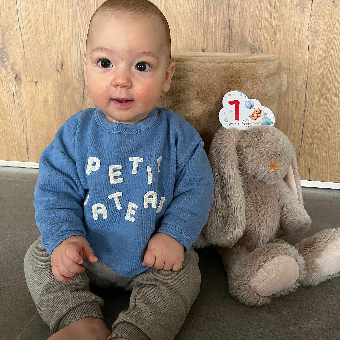 Henri participe au concours pour gagner de l'argent avec cette photo : baby, bare_feet, big_eyes, blue_sweatshirt, casual_clothing, child, chubby_cheeks, cute, floor, indoor, infant, milestone_card, photography, plush_toy, portrait, sitting, smile, soft_toy, stuffed_bunny, wooden_background