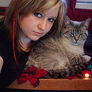 Dusty is registered to the contest to win money with this photo: blonde_hair, blue_eyes, cat, child, decoration, face, feline, fur, girl, holiday, indoors, long_hair, pet, portrait, red_ribbon, sitting, smartphone_screenshot, tabby, window, wooden_table