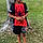 Torrence
