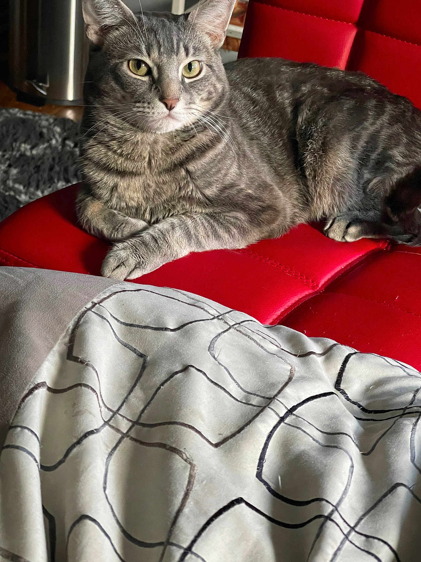 Max