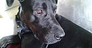 Floyd participe au concours pour gagner de l'argent avec cette photo :