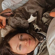 Bully participe au concours pour gagner de l'argent avec cette photo : dog, person, sleeping, cuddle, indoor, bed, blanket, casual_clothing, relaxed, close_up, face, pet, resting, comfort, human, animal, cozy, laying_down, companionship, affection